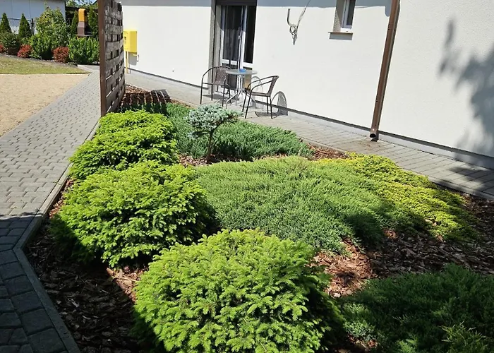 Cztery Katy * Wagrowiec